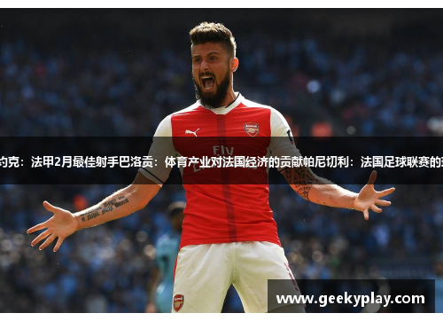 卢多维奇·阿约克：法甲2月最佳射手巴洛贡：体育产业对法国经济的贡献帕尼切利：法国足球联赛的球员转会纪录